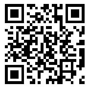 the qr code